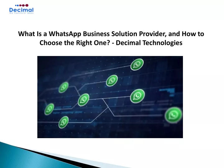 what is a whatsapp business solution provider