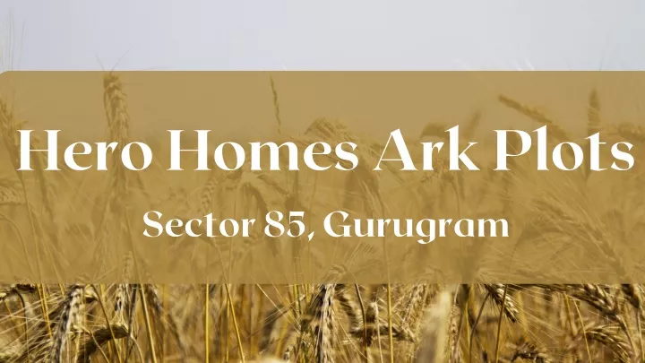 hero homes ark plots