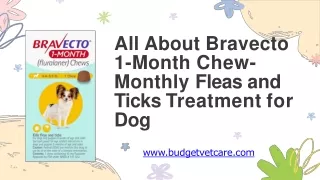 All about Bravecto 1-Month Chew- monthly Fleas and ticks treatment for dog