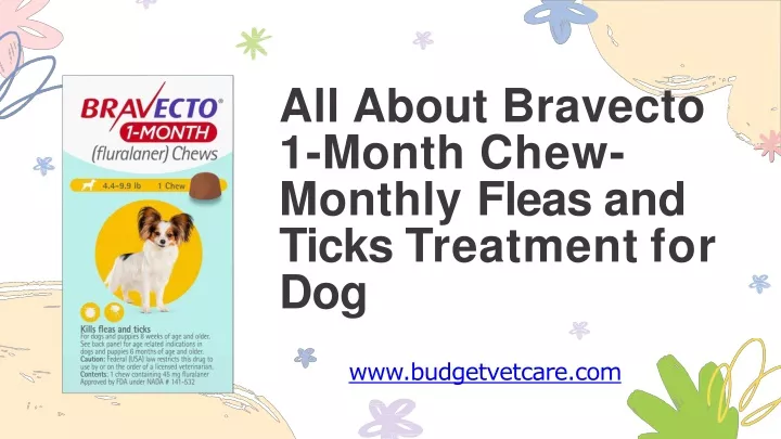 all about bravecto 1 month chew monthly fleas