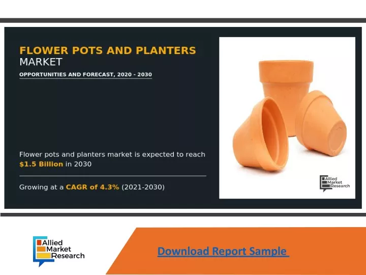 download report sample