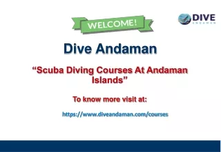 dive andaman