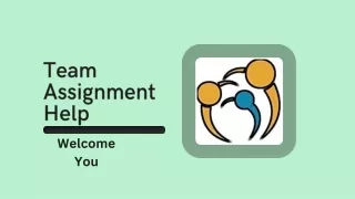 team assignment help