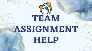 team assignment help