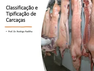 classifica o e tipifica o de carca as