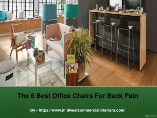 The 6 Best Office Chairs For Back Pain