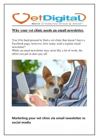 Why your vet clinic needs an email newsletter