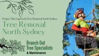 Tree Removal North Sydney