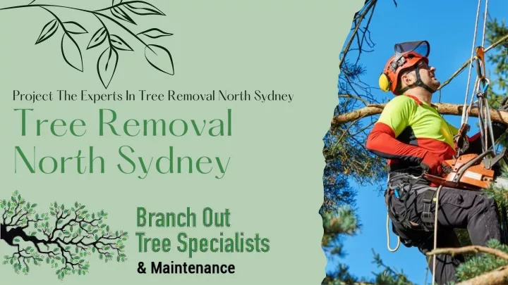 project the experts in tree removal north sydney