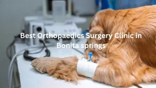 Best Orthopaedics Surgery Clinic in Bonita springs