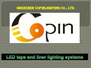 shenzhen copinlighting co ltd