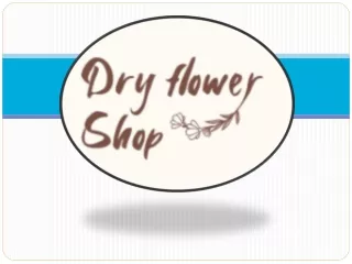 Reliable Wholesale Flower Suppliers in Australia  Dry Flower Shop