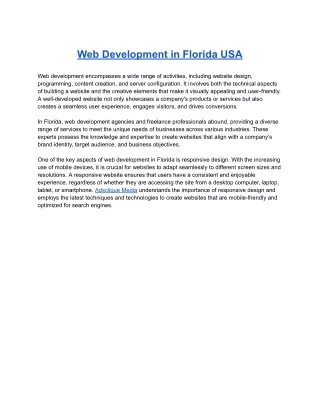 web development in florida usa