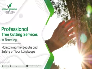 Professional Tree Cutting Services in Bromley Maintaining the Beauty and Safety of Your Landscape