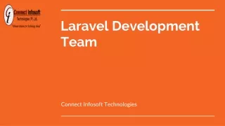 Looking for Laravel Dev Team