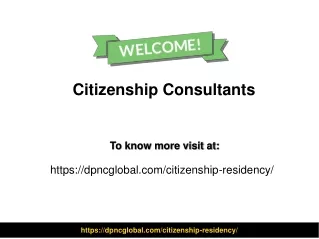 citizenship consultants