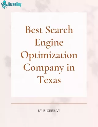 Best Search Engine Optimization Company in Texas