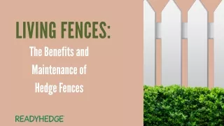 living fences the benefits and maintenance