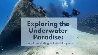 Exploring the Underwater Paradise: Diving & Snorkeling in Grand Cayman