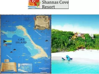 shannas cove resort cat island