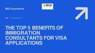 The Top 5 Benefits of Immigration Consultants For Visa Applications