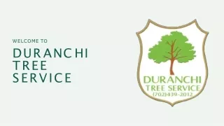 Tree Removal Las Vegas, Cheap Tree Removal - DuranchiTreeService