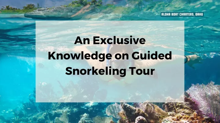 an exclusive knowledge on guided snorkeling tour