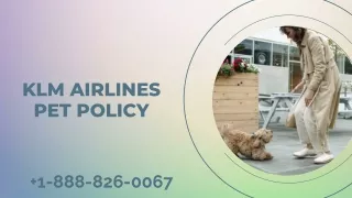 Comprehensive Guide to KLM Airlines Pet Policy: Call  1-888-826-0067 for Expert