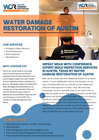 Defeat Mold with Confidence: Expert Mold Inspection Services in Austin, Texas by