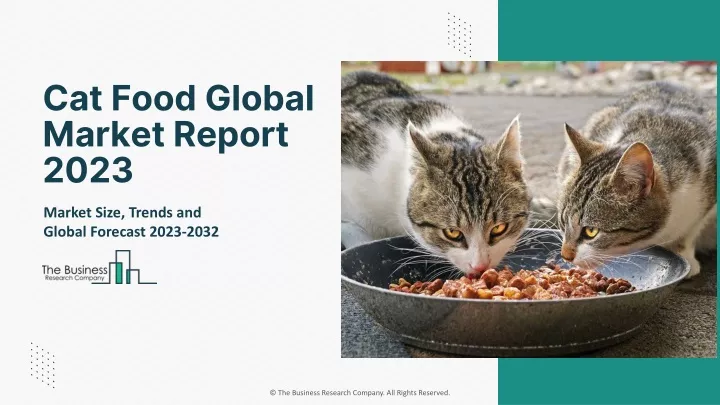 cat food global market report 2023