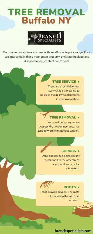 Tree Removal Buffalo NY