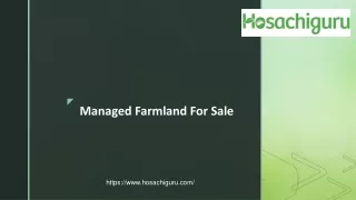 Managed Farmland For Sale - Hosachiguru