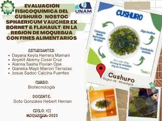 MAPA CONCEPTUAL - EVALUACIÓN FISICOQUÍMICA DEL CUSHURO ( NOSTOC SPHAERICUM VAUCHER EX BORNET & FLAHAULT) EN LA REGIÓN DE