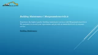 Building Maintenance  Morganandsonscivils.ie