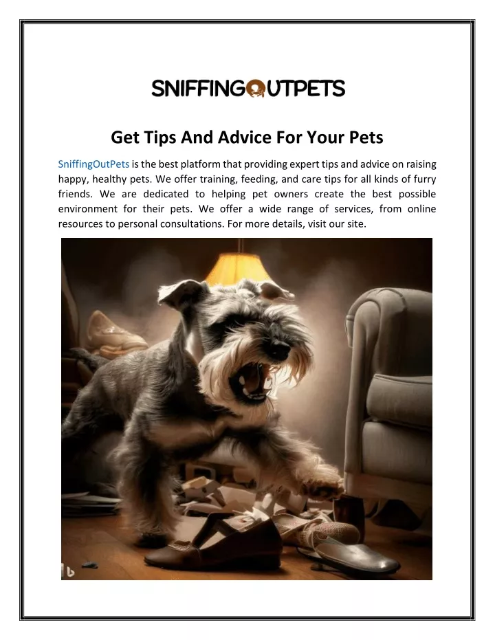 get tips and advice for your pets