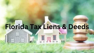 Florida Tax Liens & Deeds