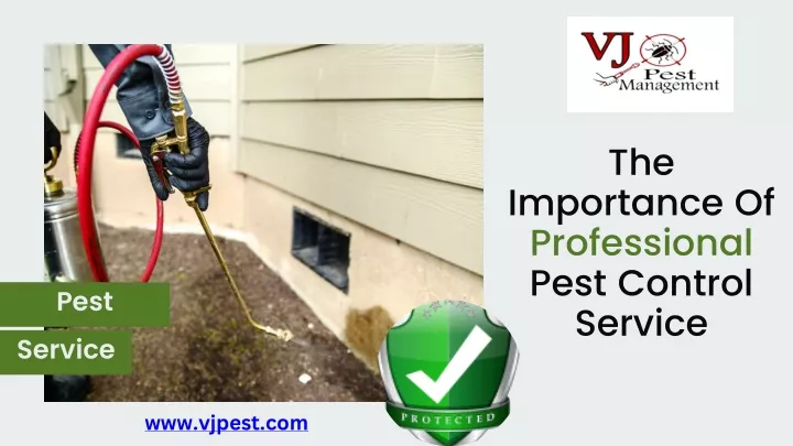 the importance of professional pest control