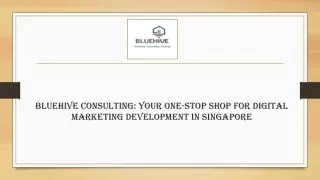 Bluehive Consulting Your One-Stop Shop for Digital Marketing Development in Singapore