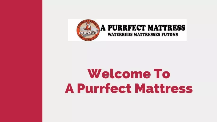 welcome to a purrfect mattress
