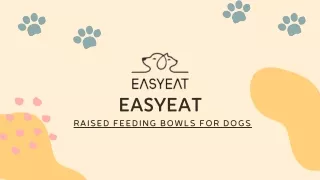 A Healthier Feeding Solution: Raised Feeding Bowls for Dogs