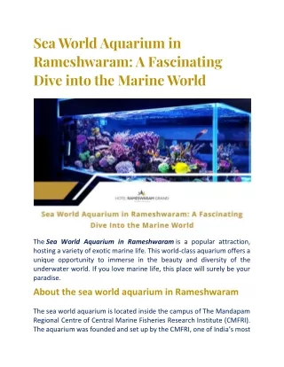 Why Visit the Sea World Aquarium in Rameshwaram?