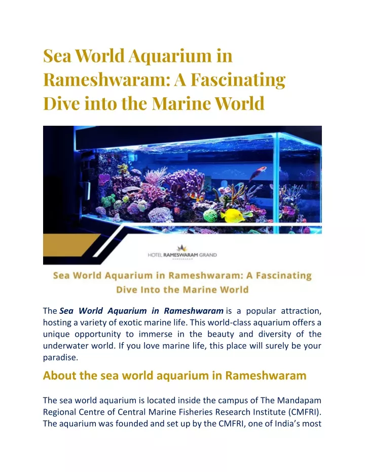 sea world aquarium in rameshwaram a fascinating