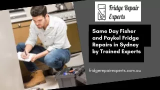 Same Day Fisher and Paykel Fridge Repairs in Sydney by Trained Experts