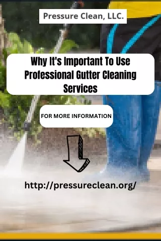 Why It's Important To Use Professional Gutter Cleaning Services