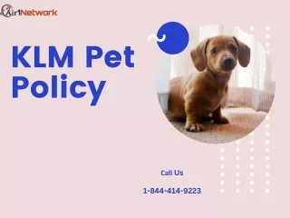 1-844-414-9223 How to Add Pets on KLM Flights?