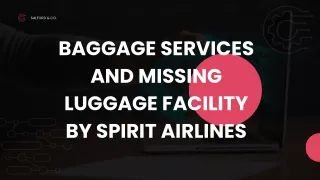 Baggage Services and Missing Luggage Facility by Spirit Airlines