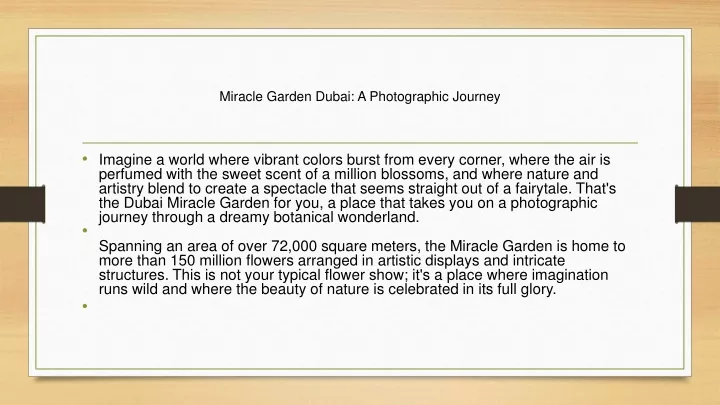 miracle garden dubai a photographic journey