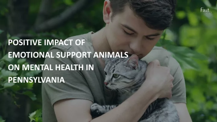 positive impact of emotional support animals