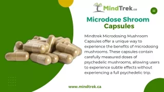microdose shroom capsules