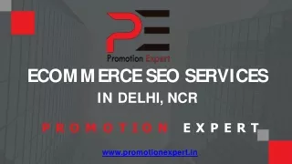 Ecommerce SEO Services in Delhi, NCR  Promotion Expert
